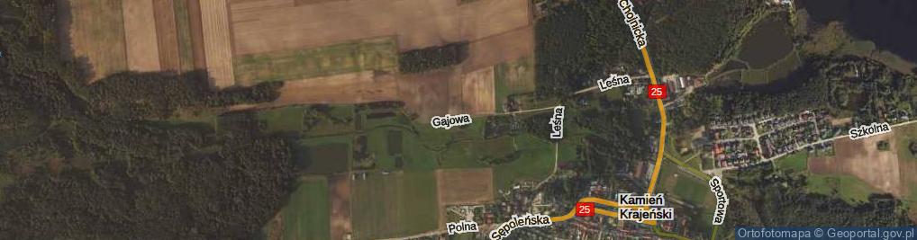 Zdjęcie satelitarne Gajowa ul.